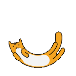 Loading Cat